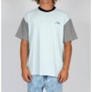 NEW RUSTY ferndale short sleeve tee in ember glow/black